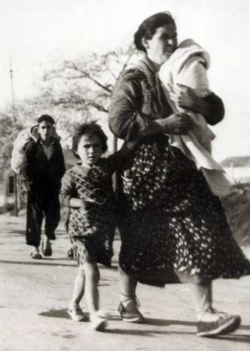 foto 32.jpg (20324 bytes)